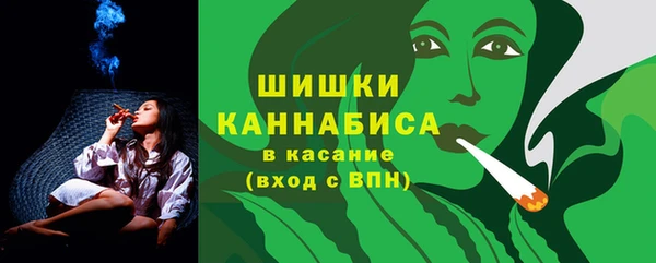 мдпв Кодинск